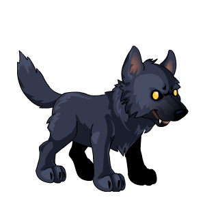 Dark Wolf Puppy