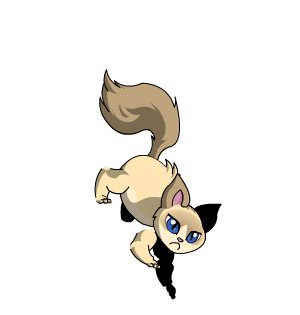 Kitten