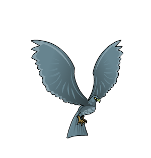 Hawk