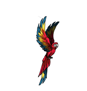 Parrot