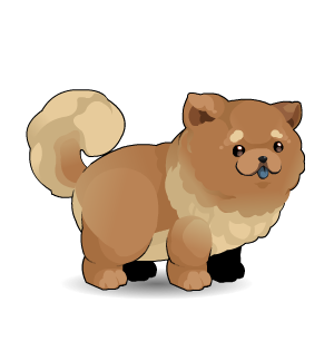 Cute Dog