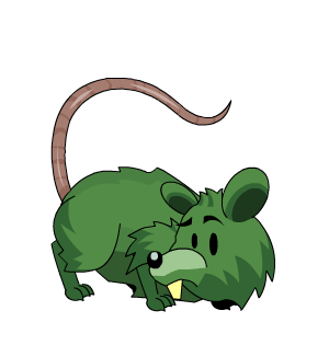 Rat