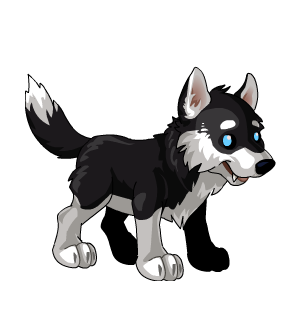 Guard Dog