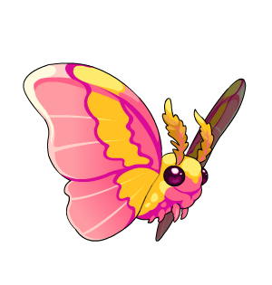 Rosy Maple