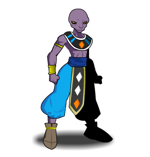 Beerus Cosplay male