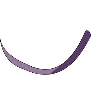 Beerus' Tail Cosplay