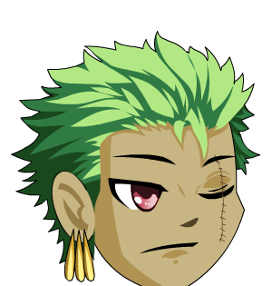 Zoro Hair