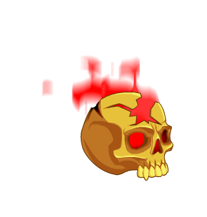 Compass Rose Skull Pet