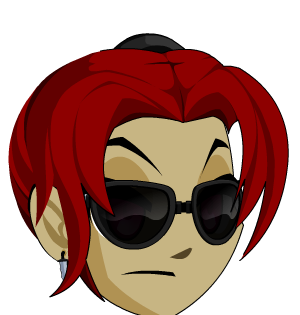 Agent's Sunglasses + Locks