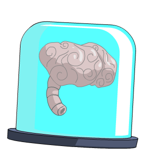 Braindy Head