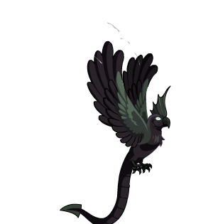 Black Dragon's Parrot Cape
