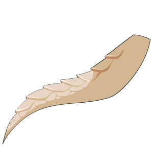 Crystal Dragon's Pirate Tail