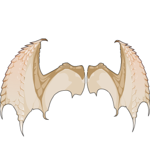 Crystal Dragon's Wings
