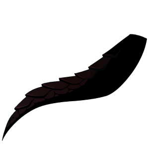 Shadow Dragon's Pirate Tail