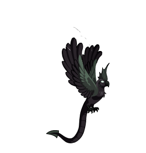 Black Dragon's Parrot Pet