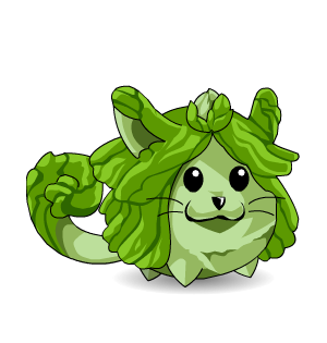 Cabbagechilla