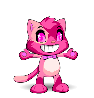 Cute Calico Cobby Pet