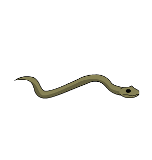 Sandsea Sidewinder