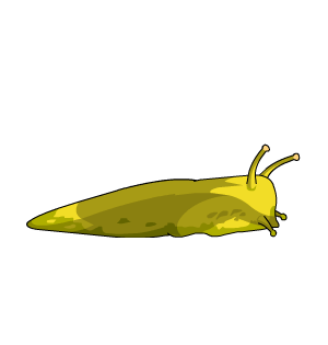 Toxic Slug Pet