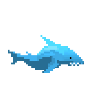 +10 Pts Shark Pet