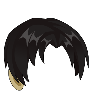 Mystical Devotee's Hair