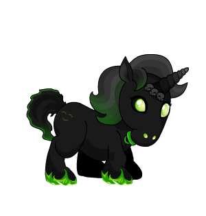 Binky Jr Pet