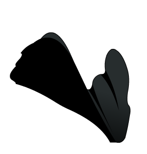 Legendary Member Cloak