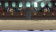 arena Area7