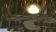 Greed Zowe6