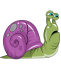 Classhall Training Snail Dummy