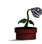 Pipe Plant