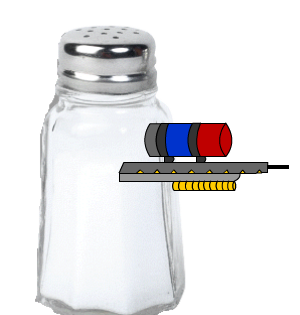 Salt Shaker