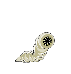 Bowel Worm