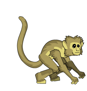 Oasis Monkey