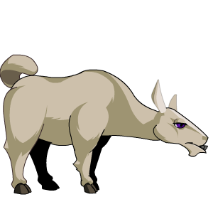Llama