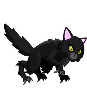 Dark Giant Cat