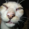 CAN BE HANDSOME